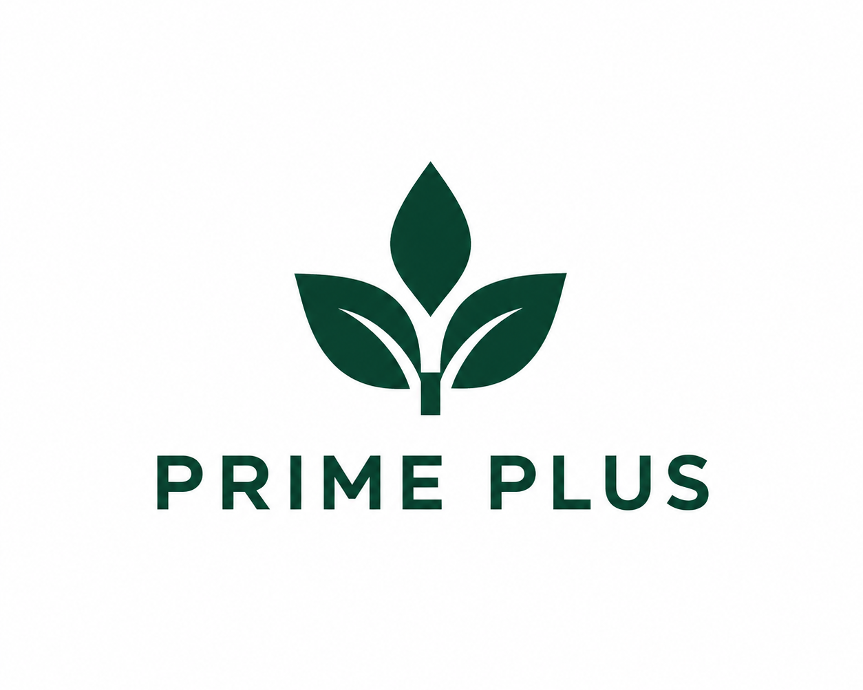 Prime Plus