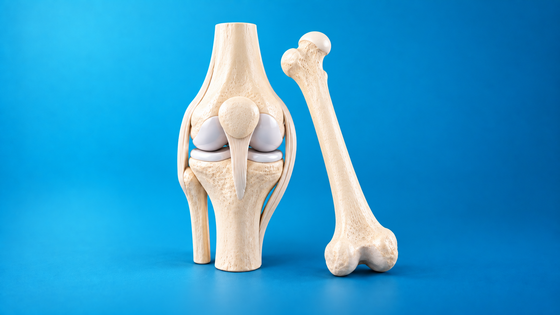 Bone & Joint Health