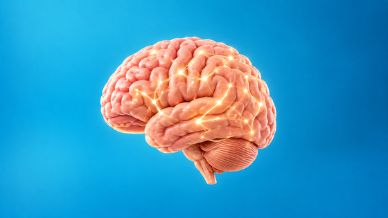 Brain Health