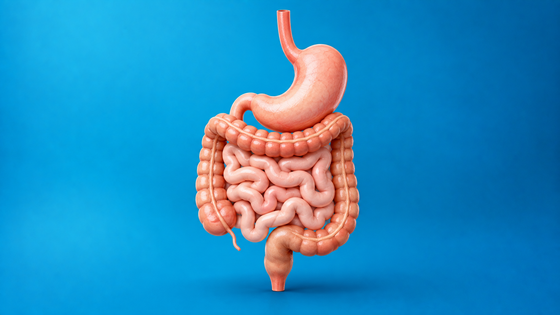 Digestive Health