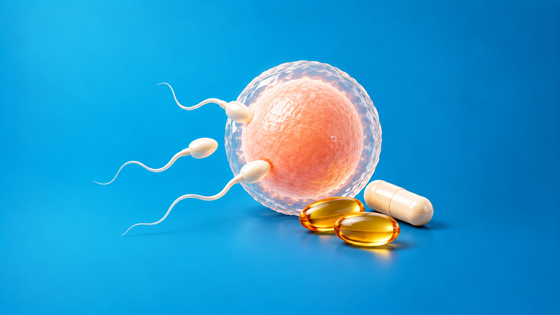 Fertility Health Vitamins