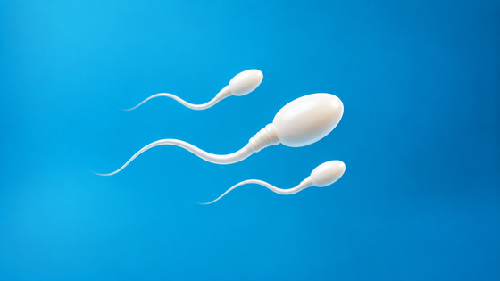 Male Fertility