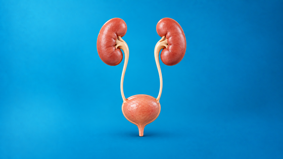 Urinary Health