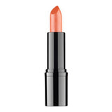 RVB LAB Professional Lipstick - 14