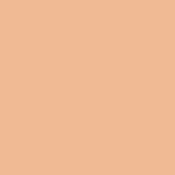 FLYUP CREAM FOUNDATION 30 ml